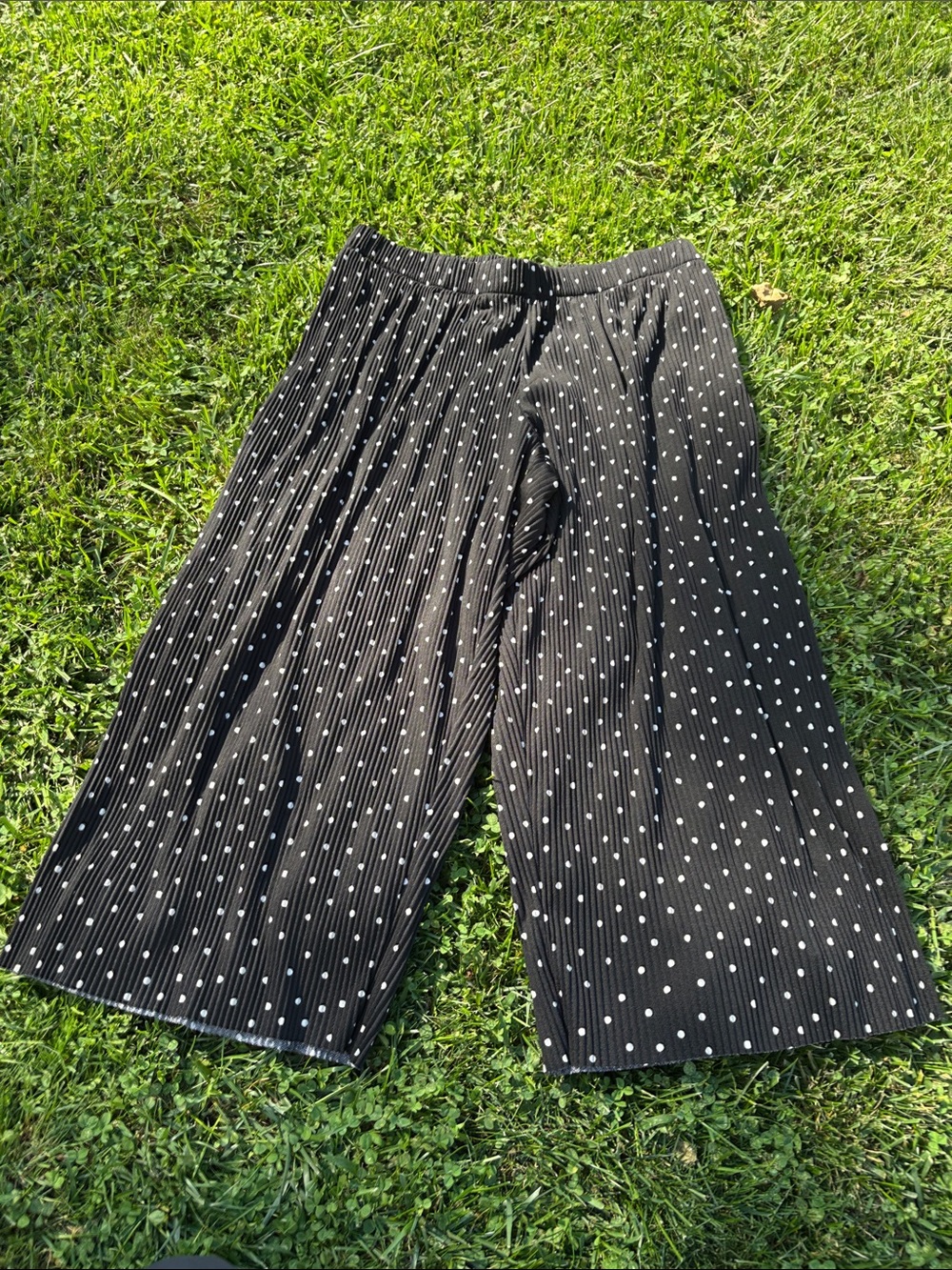 J Jill Wearever Collection Black Polka Dot Pleated Pants